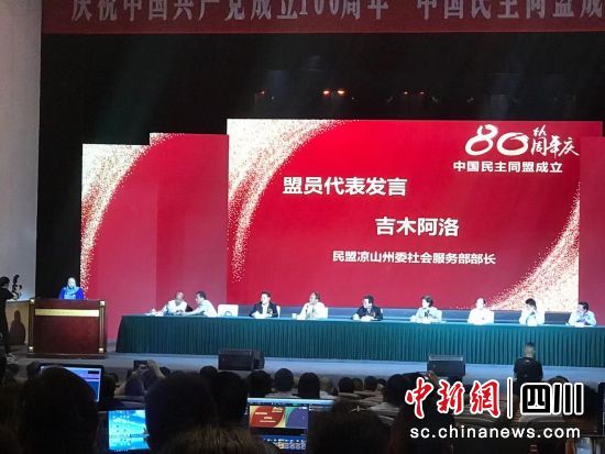 图)(为)(大)(会)(现)(场)(。（岳)(依)(桐)(摄)(）