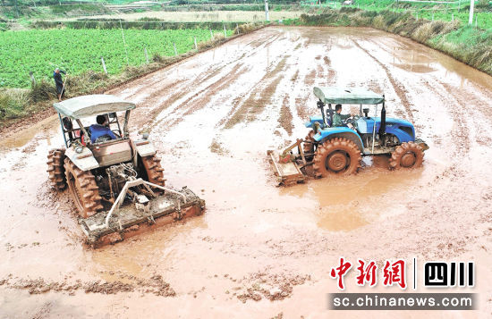 广安农行支持的某种粮大户春耕备耕场景。李华 摄 广安农行支持的某种粮大户春耕备耕场景。李华 摄