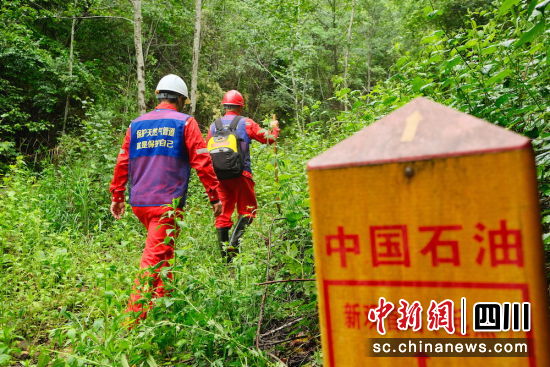 ��ǿ��Ȼ������Ѳ�顣���������� ��ͼ