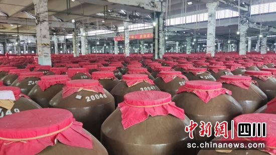 剑南春酒厂摆放整齐的酒坛。 龚韦双 摄