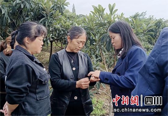 科技特派员向基地务工人员讲解修枝和病虫害防治技巧。 绵竹市融媒体中心供图