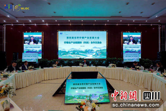 第四届世界柠檬产业发展大会柠檬全产业链国际(科技)合作交流会现场。潘政吉 摄 第四届世界柠檬产业发展大会柠檬全产业链国际(科技)合作交流会现场。潘政吉 摄