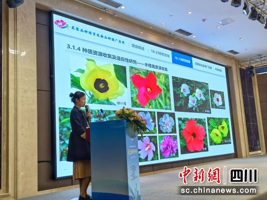 会议现场。(成都市植物园供图) 会议现场。(成都市植物园供图)