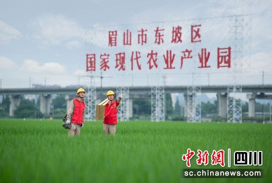党员服务队队员在眉山市东坡区永丰村检查用电线路。(资料图)王士大 摄 党员服务队队员在眉山市东坡区永丰村检查用电线路。(资料图)王士大 摄