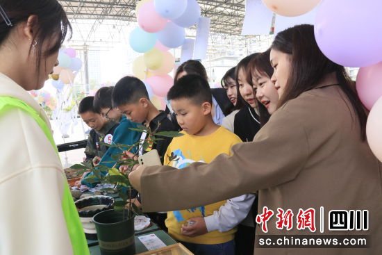孩子们在“互动摊点”学习植物知识。 安州区委宣传部供图 孩子们在“互动摊点”学习植物知识。 安州区委宣传部供图