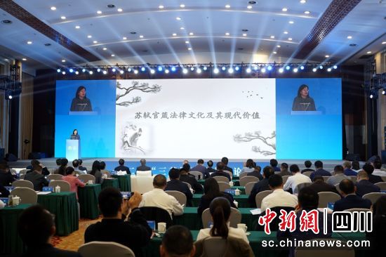 论坛现场。眉山市委政法委供图 论坛现场。眉山市委政法委供图