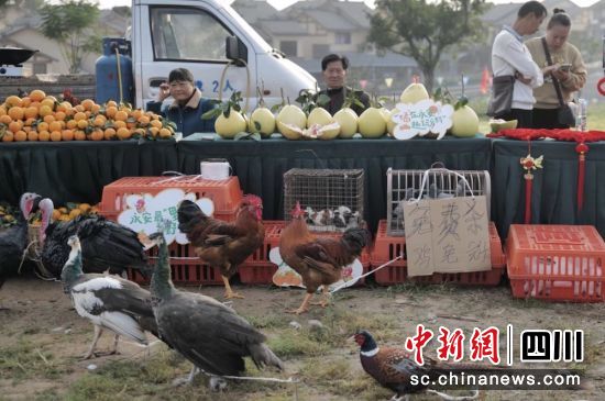 充满乡土味的最“野”集市热闹非凡。雍轩 摄 充满乡土味的最“野”集市热闹非凡。雍轩 摄