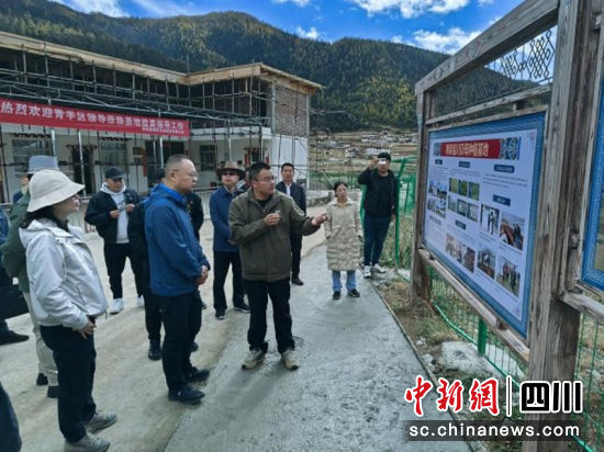 考察川贝母种植基地。汤博文 摄 考察川贝母种植基地。汤博文 摄