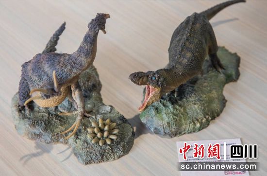 现场展品。 现场展品。