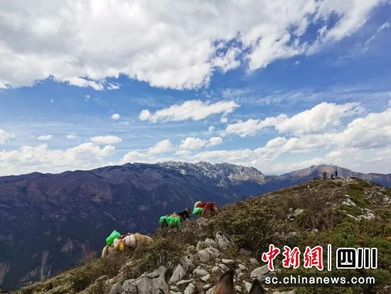 到各山脊摸排资源。华电新能盐源公司 供图 到各山脊摸排资源。华电新能盐源公司 供图