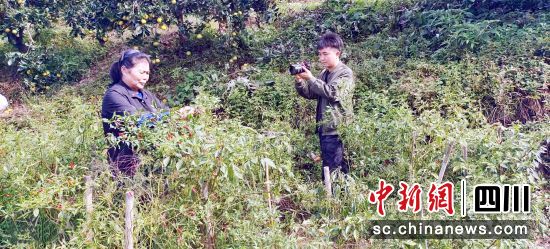 徐世状正在拍摄短视频。刘晓梅 摄 徐世状正在拍摄短视频。刘晓梅 摄