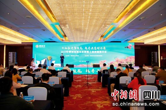 会议现场,攀枝花市自然资源和规划局供图 会议现场,攀枝花市自然资源和规划局供图