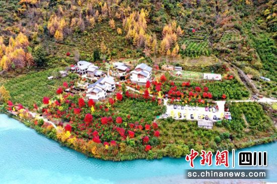 卧龙自然保护区迎来红叶观赏季。 卧龙自然保护区迎来红叶观赏季。