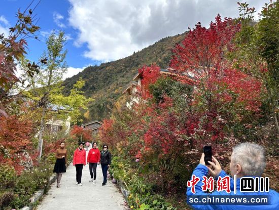 游客在篱夏民宿打卡拍照。 游客在篱夏民宿打卡拍照。