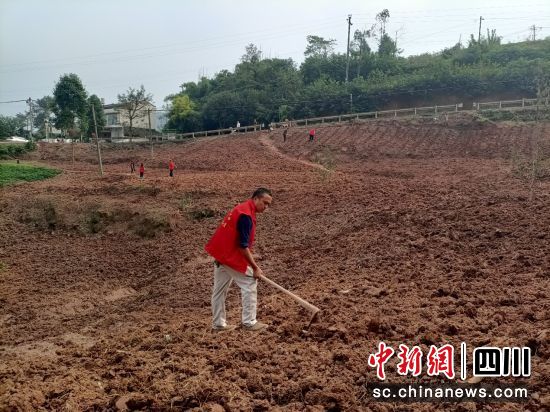 党员志愿队伍翻耕耕作层。杨春燕 摄 党员志愿队伍翻耕耕作层。杨春燕 摄