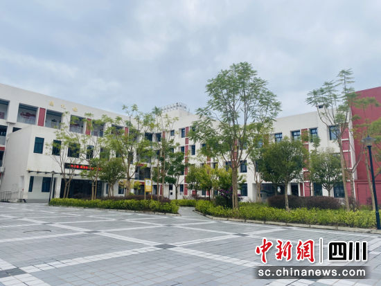 绿植葱郁的校园环境。 简阳融媒 供图 绿植葱郁的校园环境。 简阳融媒 供图