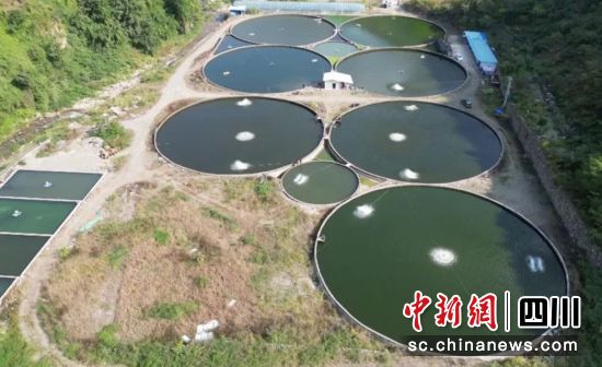 水产基地。汉源县委统战部 供图 水产基地。汉源县委统战部 供图