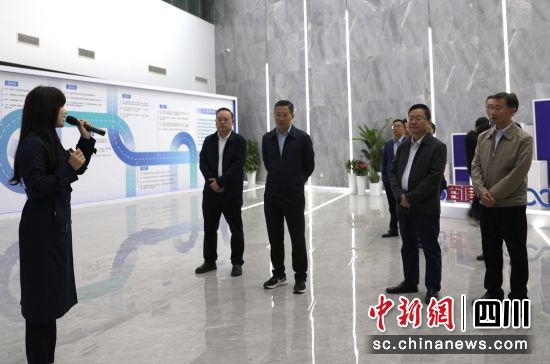 视察现场。大安融媒 供图 视察现场。大安融媒 供图