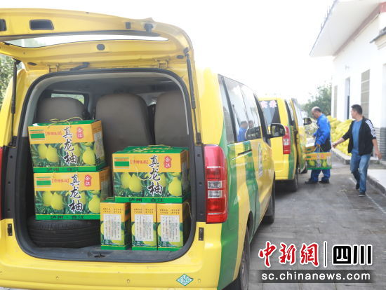 柚子“坐上”小黄车,果农省力又实惠。合江县融媒体中心供图 柚子“坐上”小黄车,果农省力又实惠。合江县融媒体中心供图