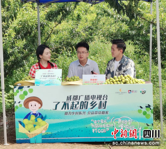 助农直播带货。 简阳市委组织部 供图 助农直播带货。 简阳市委组织部 供图