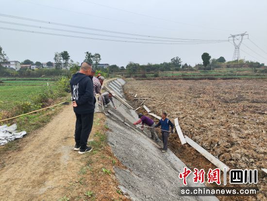 堰塘防渗整治工程施工现场。 罗江区委组织部供图 堰塘防渗整治工程施工现场。 罗江区委组织部供图