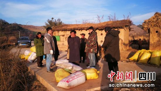 苦荞收购现场。 (环太生物 供图) 苦荞收购现场。 (环太生物 供图)