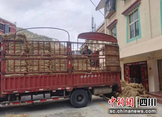 储备防滑草垫。壤塘县委宣传部 供图 储备防滑草垫。壤塘县委宣传部 供图