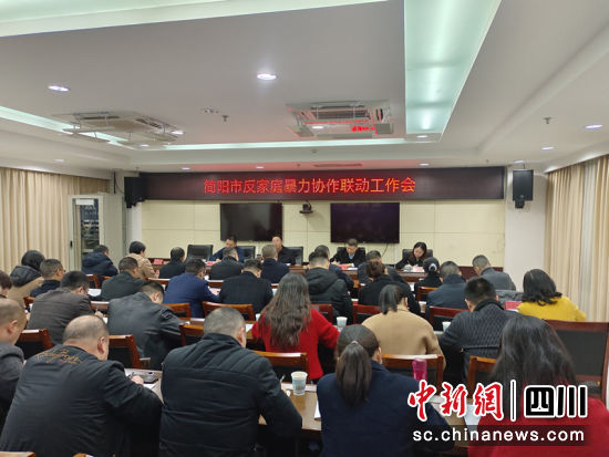 简阳市反家暴联盟成立现场。吴平华 摄 简阳市反家暴联盟成立现场。吴平华 摄