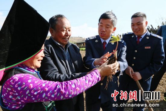 “笮税先锋”志愿服务队深入田间地头向中药材种植农户问计问需。四川税务供图 “笮税先锋”志愿服务队深入田间地头向中药材种植农户问计问需。四川税务供图