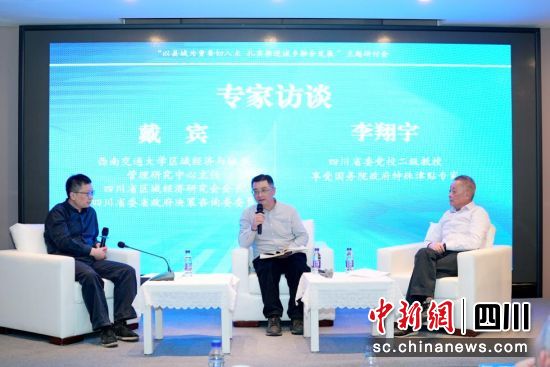 专家访谈。成都市社科联(院)供图 专家访谈。成都市社科联(院)供图