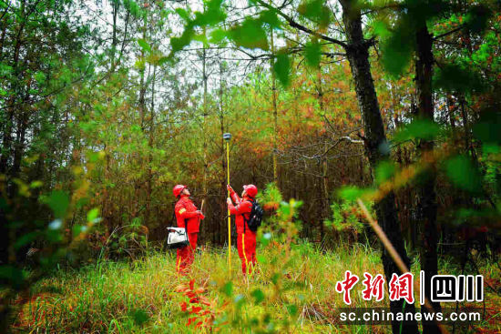 物探队员正在密林深处施工作业。刘天狐 摄 物探队员正在密林深处施工作业。刘天狐 摄