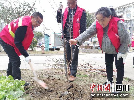 志愿者们正在植树。 什邡市方亭街道供图 志愿者们正在植树。 什邡市方亭街道供图