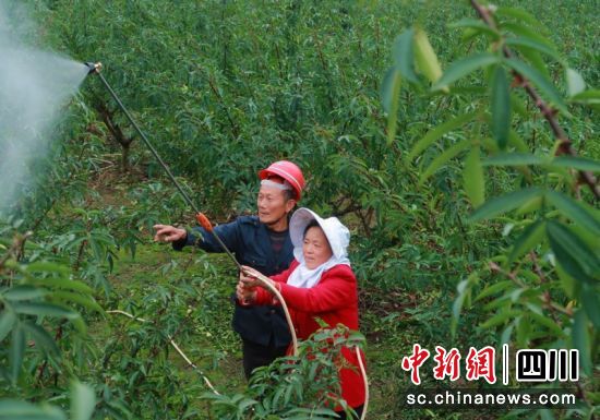 村民们正在喷洒防冻液。衡欢 摄 村民们正在喷洒防冻液。衡欢 摄