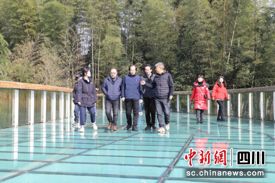 嘉宾们在蜀南竹海旅游度假区,感受万顷竹海的浩渺。宁融 摄 嘉宾们在蜀南竹海旅游度假区,感受万顷竹海的浩渺。宁融 摄