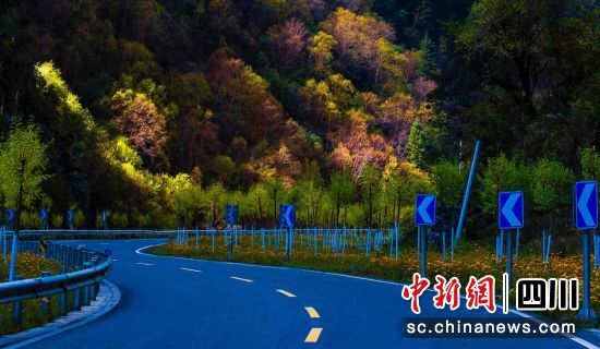 壤塘四通八达的乡村公路网。壤塘县委宣传部供图 壤塘四通八达的乡村公路网。壤塘县委宣传部供图