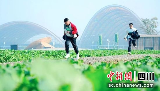 比赛现场。成都市新津区文化体育和旅游局供图 比赛现场。成都市新津区文化体育和旅游局供图