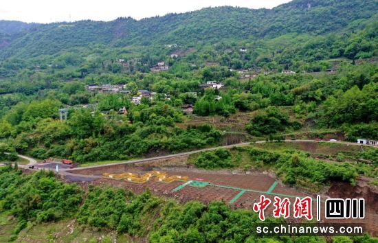 漩口镇吊瓜基地(航拍)。汶川县委宣传部 供图 漩口镇吊瓜基地(航拍)。汶川县委宣传部 供图