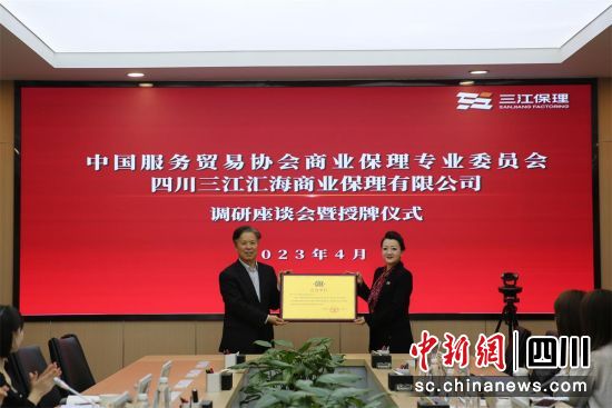 授牌仪式现场。宜宾发展控股集团供图 授牌仪式现场。宜宾发展控股集团供图