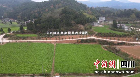 仁兴粮油蔬菜现代农业园区。 梓潼县融媒体中心供图 仁兴粮油蔬菜现代农业园区。 梓潼县融媒体中心供图