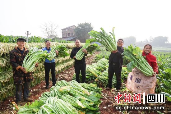 喜获丰收。叶昌荣 摄 喜获丰收。叶昌荣 摄