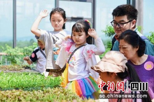 活动现场。中国农业科学院都市农业研究所供图 活动现场。中国农业科学院都市农业研究所供图