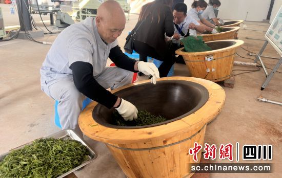 现场炒制鲜茶。富顺融媒 供图 现场炒制鲜茶。富顺融媒 供图