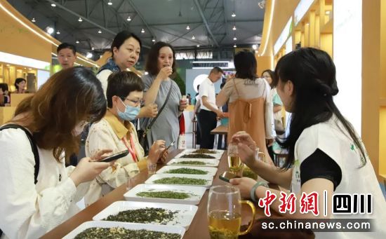 品鉴荣县花茶现场。荣县融媒 供图 品鉴荣县花茶现场。荣县融媒 供图