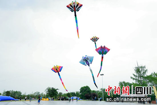 U664P952DT20240511151435.jpg