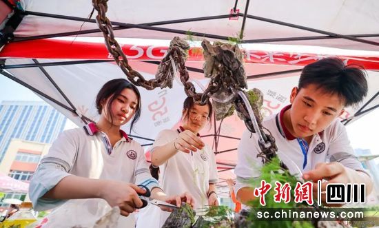 园艺比拼。富顺教体局 供图 园艺比拼。富顺教体局 供图
