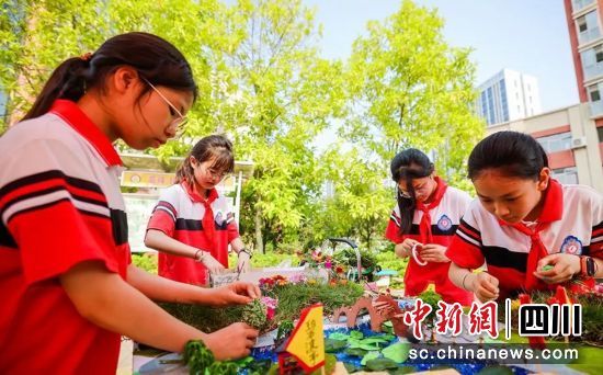 比赛现场。富顺教体局 供图 比赛现场。富顺教体局 供图
