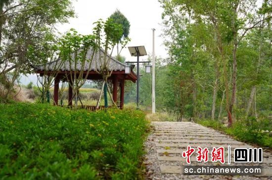 八洞桥新建生态步道、岸线焕然一新。 江油市委宣传部供图 八洞桥新建生态步道、岸线焕然一新。 江油市委宣传部供图