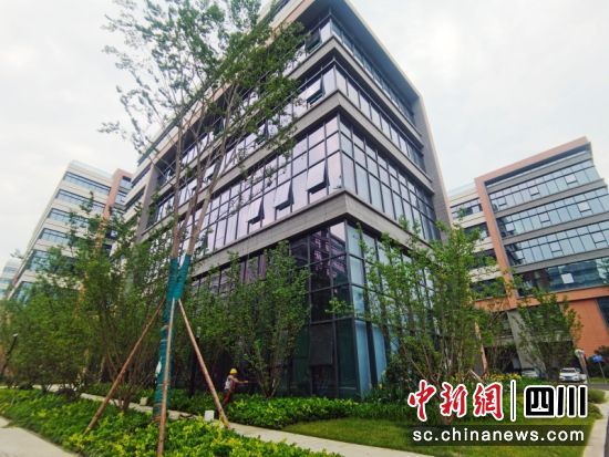 配套完善的花园式标准厂房。周颐 摄 配套完善的花园式标准厂房。周颐 摄
