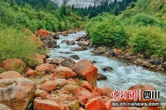图为达古冰川红运坡风光。达古冰川风景名胜区管理局供图 图为达古冰川红运坡风光。达古冰川风景名胜区管理局供图
