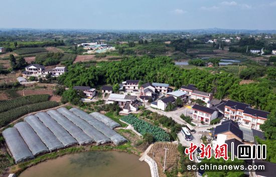 7月6日,海外华文媒体代表在四川省内江市威远县水口村参访。记者 王磊 摄 7月6日,海外华文媒体代表在四川省内江市威远县水口村参访。记者 王磊 摄